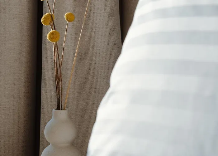 Ferdinand Boutique * Cluj-Napoca